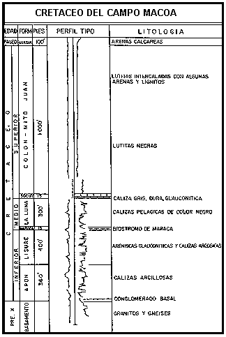 Cretaceo del Campo Macoa