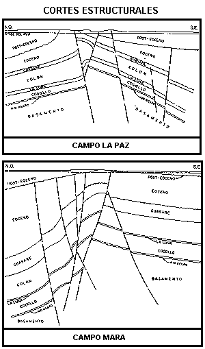 Cortes estructurales
