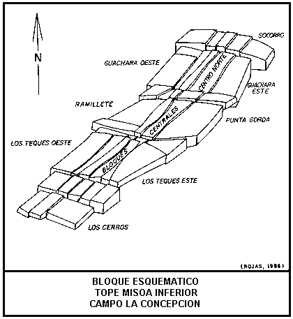 Bloque esquem�tico