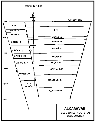 secci�n estructural