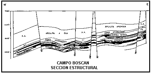 Secci�n estructural