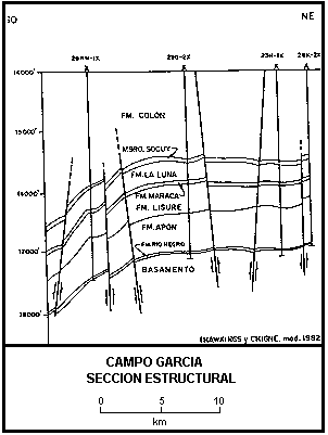 Secci�n estructural