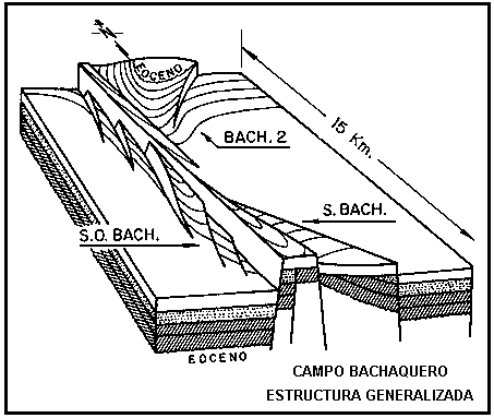 Estructura generalizada