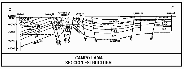Secci�n estructural