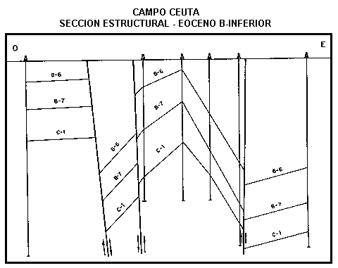 Secci�n estructural