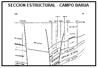 Secci�n estructural