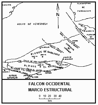 Marco estructural