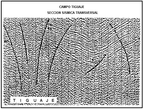 Secci�n s�smica transversal