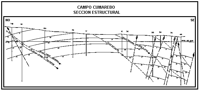 Secci�n estructural
