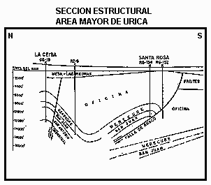 Sección estructural