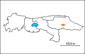 Formaci&oacute;n Aramina