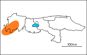Formacin Aroa