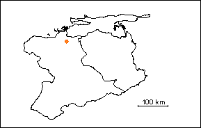 Subzona de Bolivinoides Rhomboidea