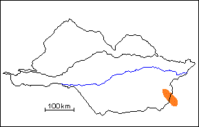 Formaci�n Cinaruco