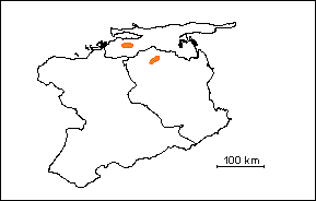 Miembro Corral Viejo