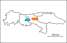 Gneis Tonalítico de Curiepe