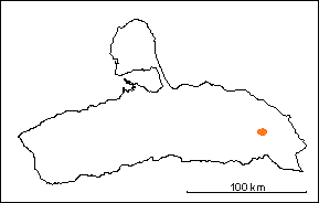 Caliza de Cerro Campana