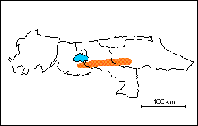  Formaci�n El Ca�o