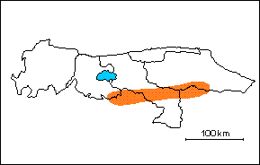  Formaci�n El Chino