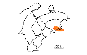  Formaci�n El Peg�n