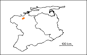  Miembro El Pilar