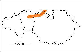 Formacin Escorzonera