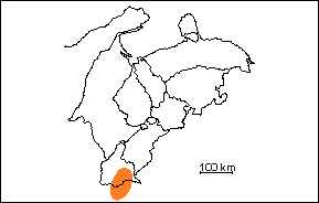  Formacin Guanapa