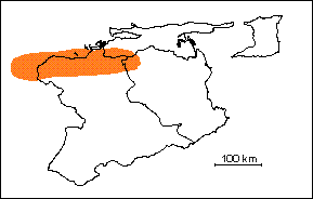 Zona de Globorotalia palmerae
