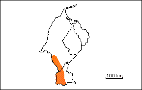 Grupo Guayabo