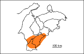  Miembro Guayacán