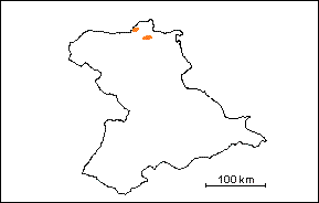 Zona de Guembelina-Siphogenerinoides