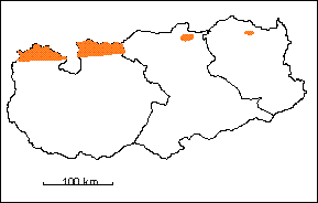  Grupo Guayuta