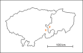  Peridotita Serpentinizada de La Bimba