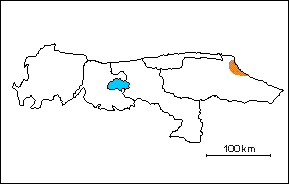 Formaci�n Mamporal