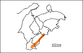  Formaci�n Mucuchachi