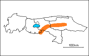  Formaci�n Paracotos