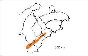  Formacin Palmar