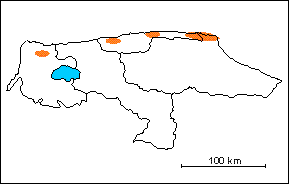 Augengneis de Pe�a de Mora