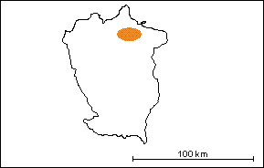 Formación Pilancones