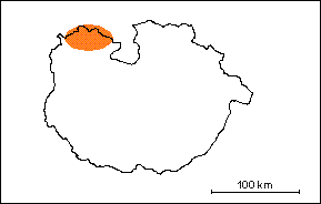 Diorita Pirox&eacute;nica de Platill�n