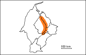 Zona de Porticulosphaera mexicana