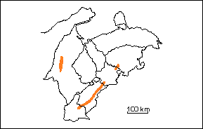  Formacin Palmarito