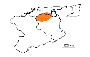 Formaci�n San Juan