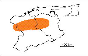  Formacin San Antonio