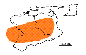  Formación Tigre