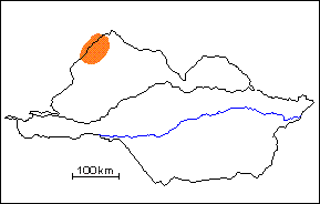  Formaci�n Tilangona