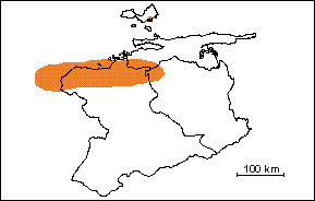 Zona de Truncorotaloides rohri