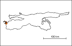 Formacin Taguarumo