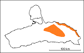Zona de Uvigerinella sparsicostata