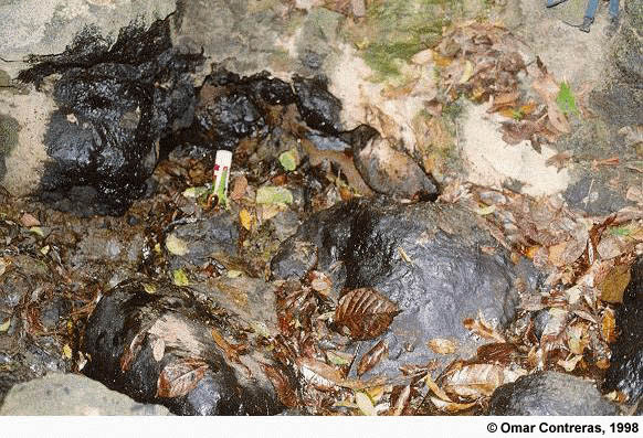 Mene de la Quebrada La Mina